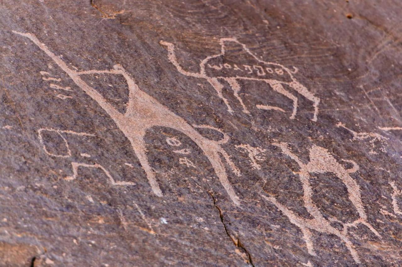 Harmony Luxury Camp Hotel Wadi Rum Exterior foto